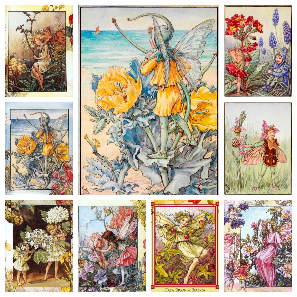 Embroidery Daisy - Cicely Mary Barker Kunstwerk Bloemenmeisje Vlinder
