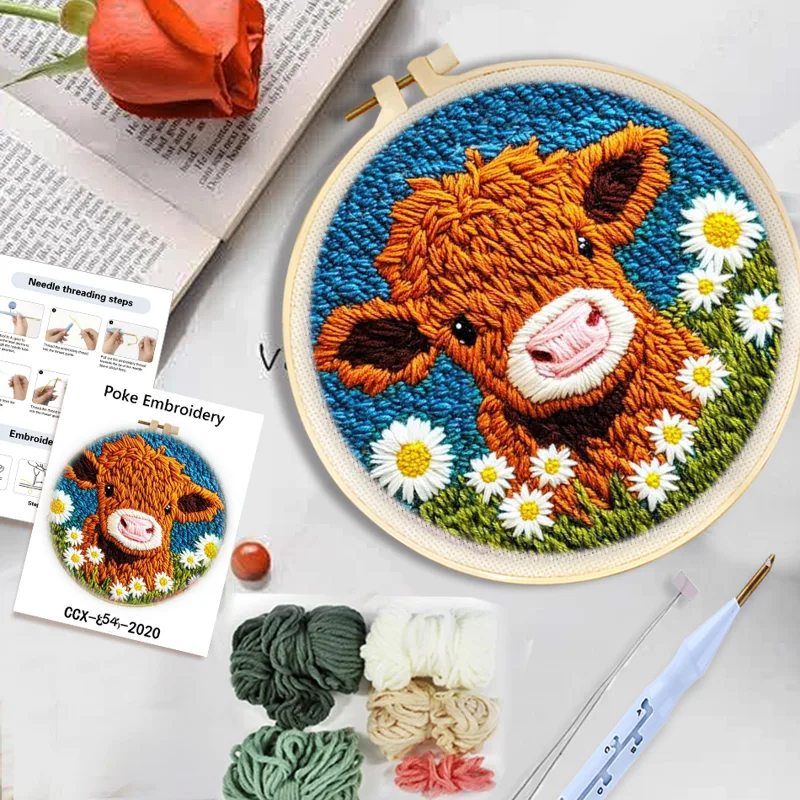 DIY Punch Naald Borduurpakkett - Embroidery Daisy Flower recensie en prijs